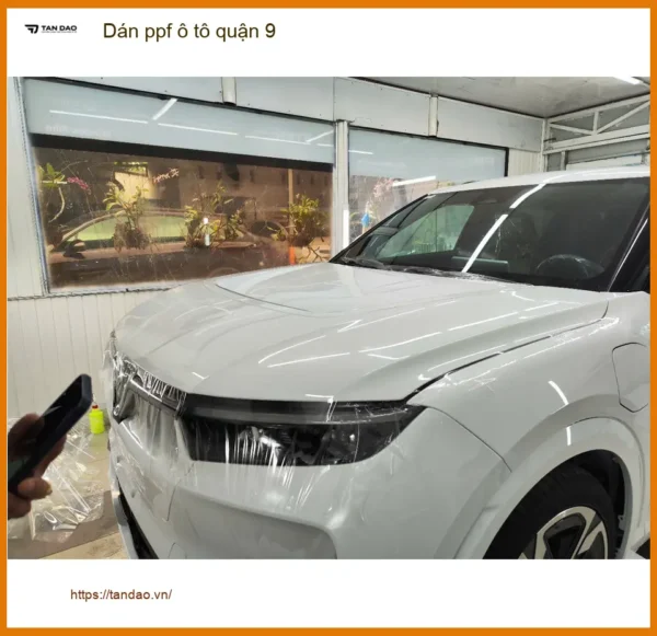 Dịch Vụ Thi Công Dán PPF Ô Tô Tại Quận 9 - Thi Công Uy Tín TPHCM
