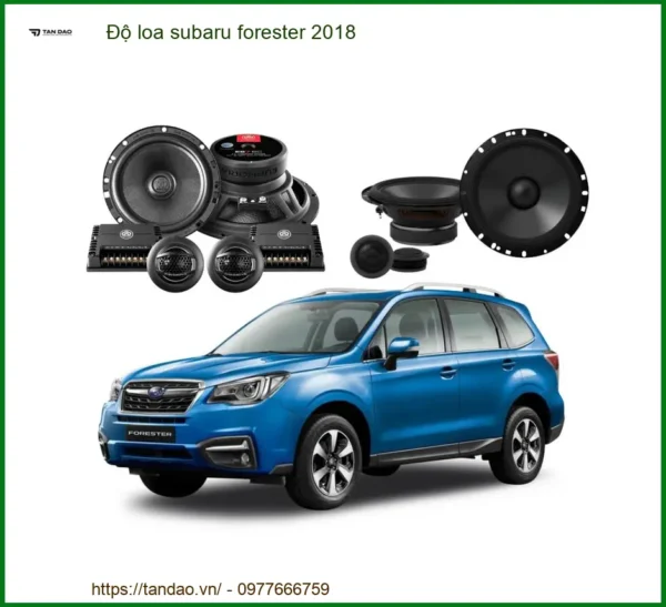 Độ Loa Subaru Forester 2018 - Nâng Cấp Hệ Thống Âm Thanh Đẳng Cấp