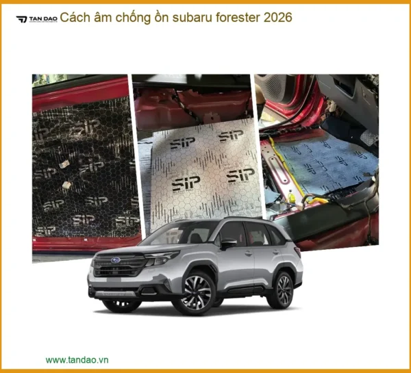 Cách Âm Chống Ồn Subaru Forester 2026 - Địa Chỉ Lắp Đặt Uy Tín TPHCM