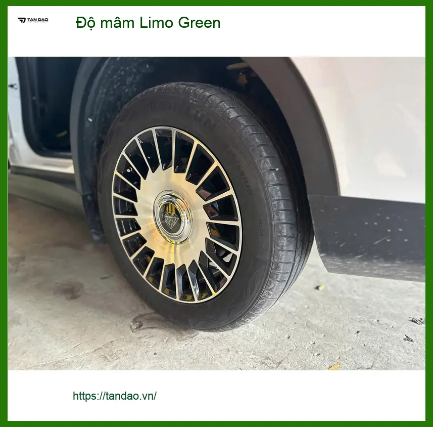 Bác Trí độ mâm Limo Green cho Hyundai Santa Fe tại Quận Gò Vấp để xe nổi bật hơn