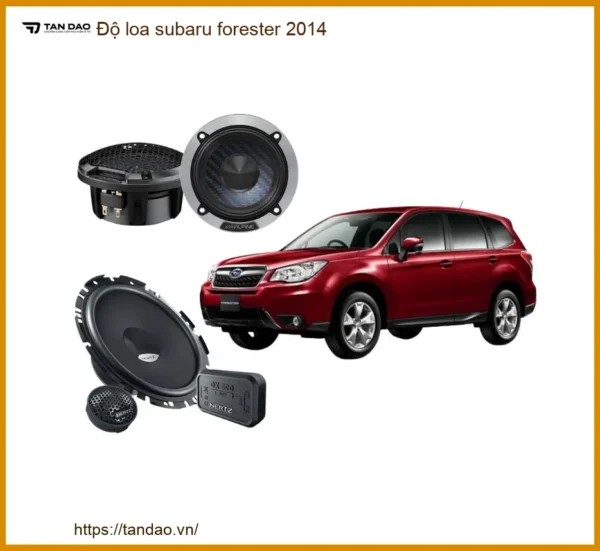 Độ Loa Sub Gầm Ghế Subaru Forester 2014 - Trung Tâm Nâng Cấp Chính Hãng TPHCM