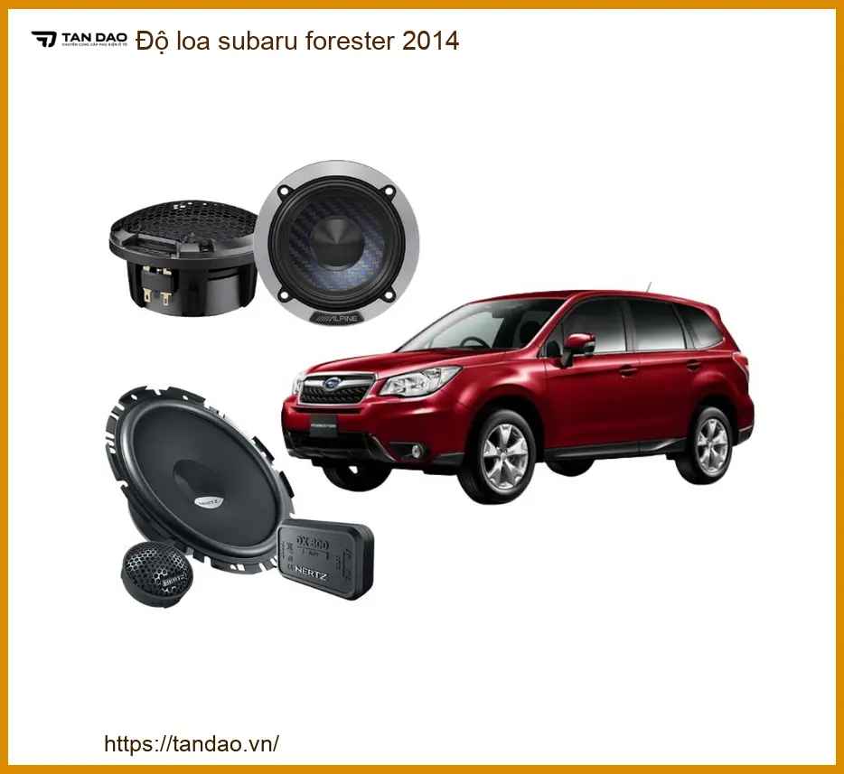 Độ Loa Sub Gầm Ghế Subaru Forester 2014 - Trung Tâm Nâng Cấp Chính Hãng TPHCM