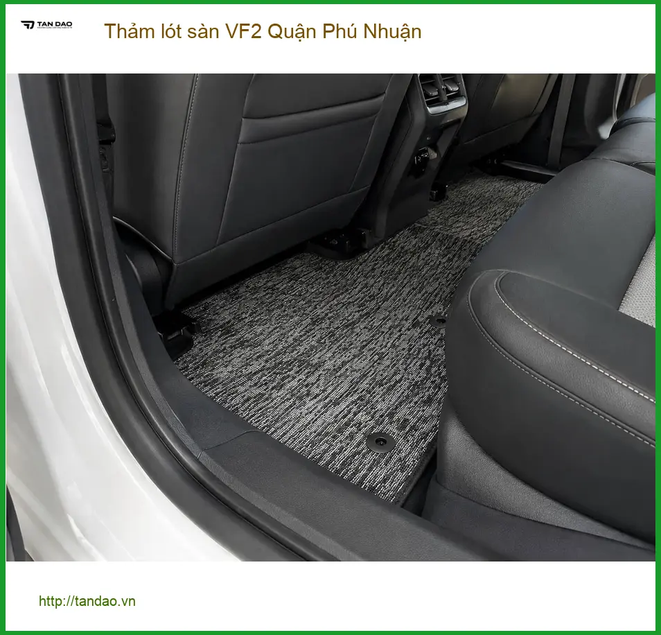 Địa Chỉ Lắp Thảm Lót Sàn Ô Tô lót sàn VF2 Quận Phú Nhuận - Giá Tốt TPHCM