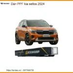 Dán PPF Chống Trầy Xước Kia Seltos 2024 - Nơi Lắp Đặt Giá Tốt Nhất TPHCM