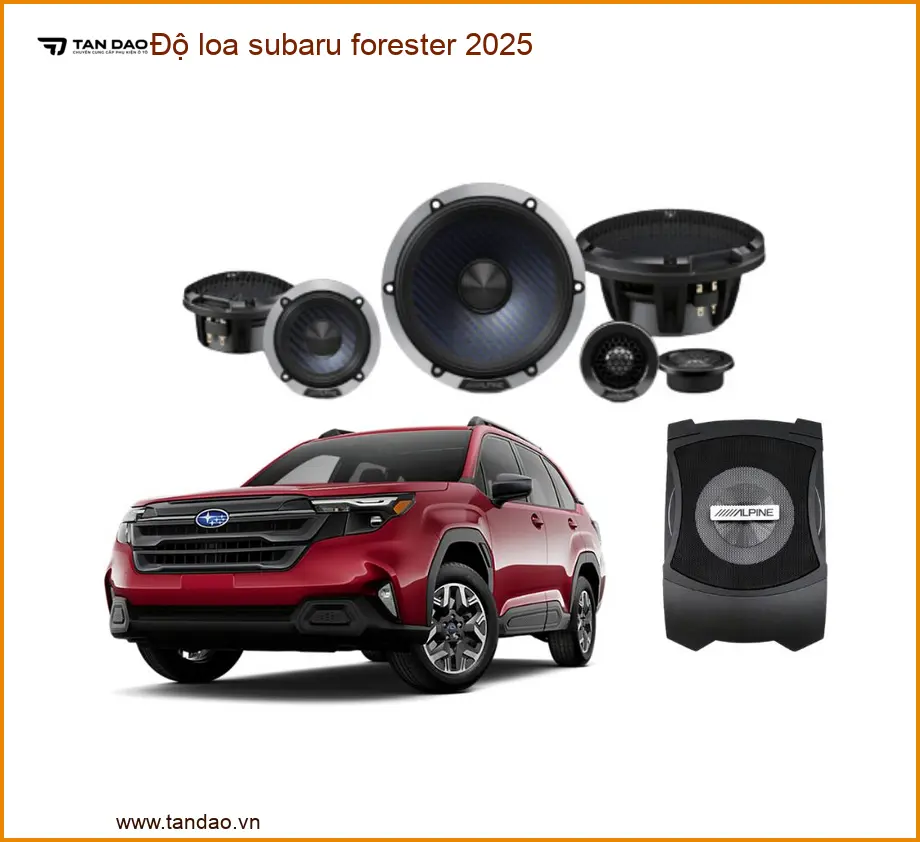 Độ Loa Subaru Forester 2025 - Địa Chỉ Độ Loa Chính Hãng, Giá Tốt TPHCM